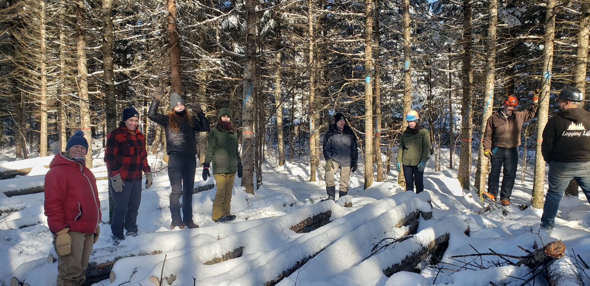 Al Freeman tweet media