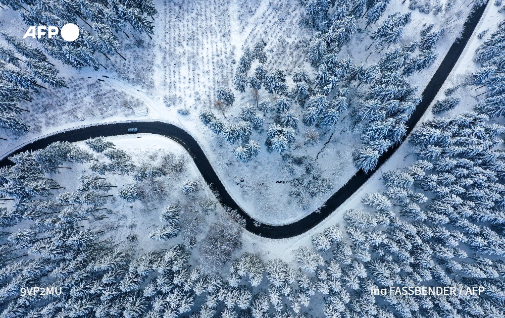 Stephanie Youssef tweet media