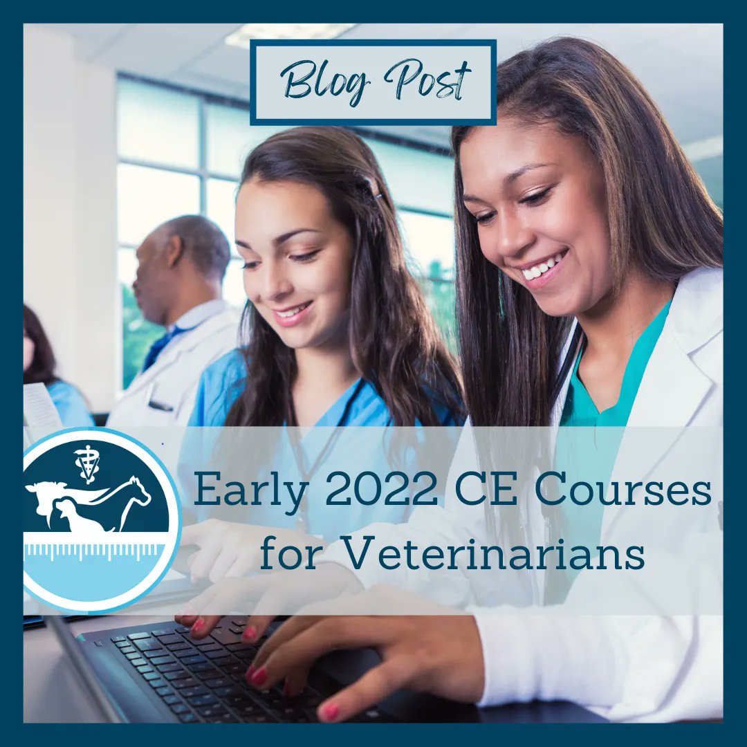 vetmeasure's tweet image. Are you looking for ways to expand your professional knowledge to better serve your patients? VetMeasure has compiled a list of upcoming Veterinary Continuing Education Courses. To learn more about these opportunities, check out the link in our bio. #CECourses #VetMeasure