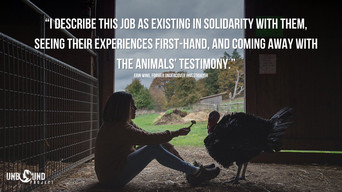 animaloutlook's tweet photo. Animal Outlook's Deputy Director of Investigations @erin_wing720 was recently featured by the @unbound_project for her amazing work at the forefront of animal advocacy. Read more here: https://t.co/uwJjcDo6H0 https://t.co/tzurgaeHA9