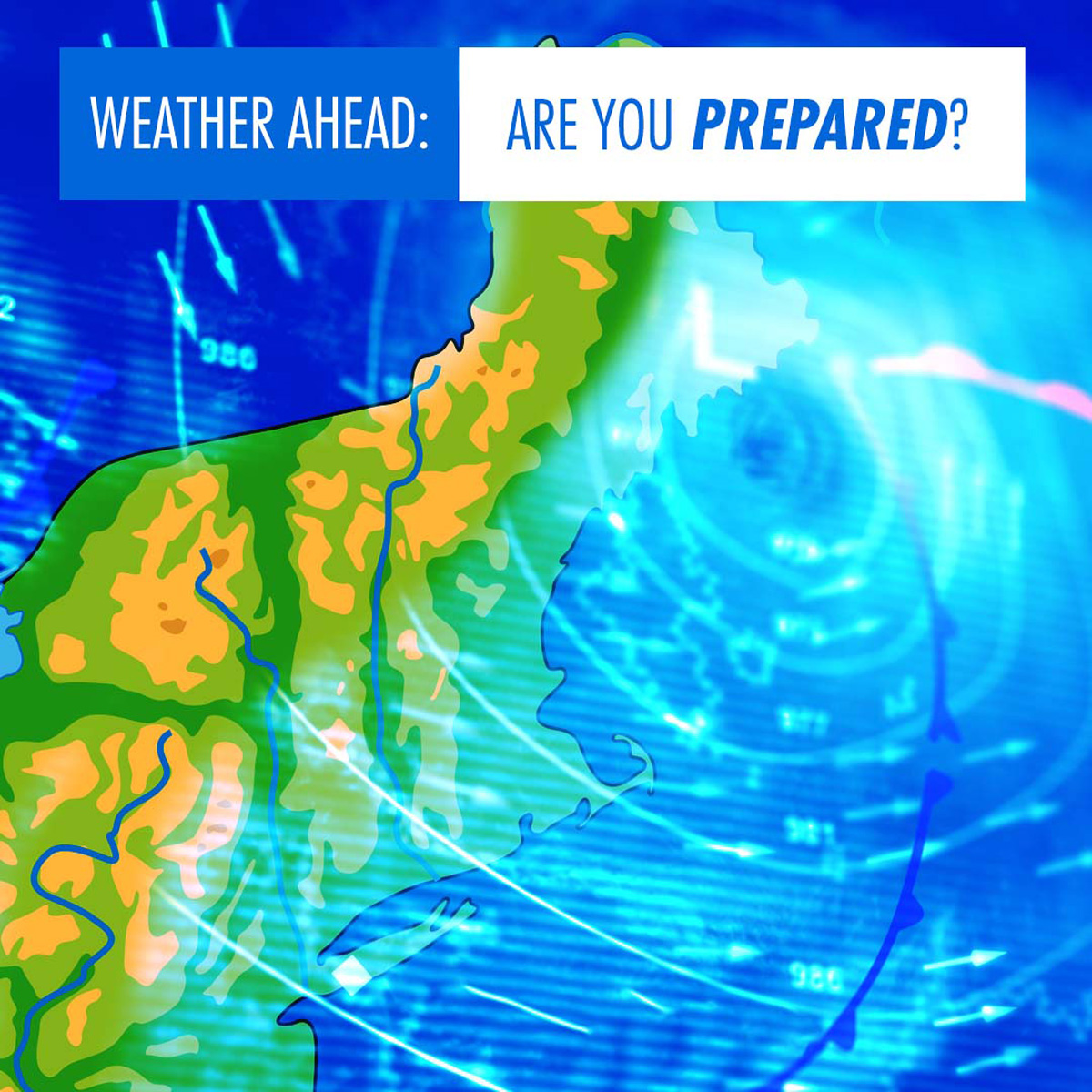 Toccara Williams tweet media