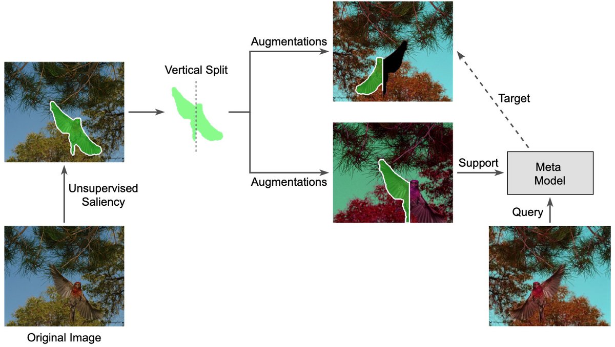 METU ImageLab (@metu_imagelab) on Twitter photo New #WACV2022 paper: "MaskSplit: Self-supervised Meta-learning for Few-shot Semantic Segmentation", by
<a href="/AmacSercan/">Sercan Amaç</a>, <a href="/ahmetsencan1/">Ahmet Şencan</a>, Bugra Baran, <a href="/nazliikizler/">Nazli Ikizler Cinbis</a>, and <a href="/gcinbis/">Gokberk Cinbis</a>. Joint work with <a href="/HUCVL/">HUCVL</a>.
Paper: openaccess.thecvf.com/content/WACV20…
Code: github.com/AhmetSencan/Ma… New #WACV2022 paper: "MaskSplit: Self-supervised Meta-learning for Few-shot Semantic Segmentation", by
<a href="/AmacSercan/">Sercan Amaç</a>, <a href="/ahmetsencan1/">Ahmet Şencan</a>, Bugra Baran, <a href="/nazliikizler/">Nazli Ikizler Cinbis</a>, and <a href="/gcinbis/">Gokberk Cinbis</a>. Joint work with <a href="/HUCVL/">HUCVL</a>.
Paper: openaccess.thecvf.com/content/WACV20…
Code: github.com/AhmetSencan/Ma…