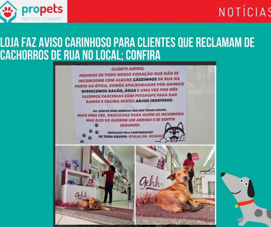 ProPets12's tweet photo. Um boa noticia sempre merece o nosso destaque! Publicada no BNews, essa noticia chama a atenção para uma situação bem comum, mas acabamos não dando a devida atenção. 
#ProPets  #TodaVidaConta #proteçãoanimal
Leia a materia completa...
https://t.co/p35T9tvpei... https://t.co/TqAds95e6k