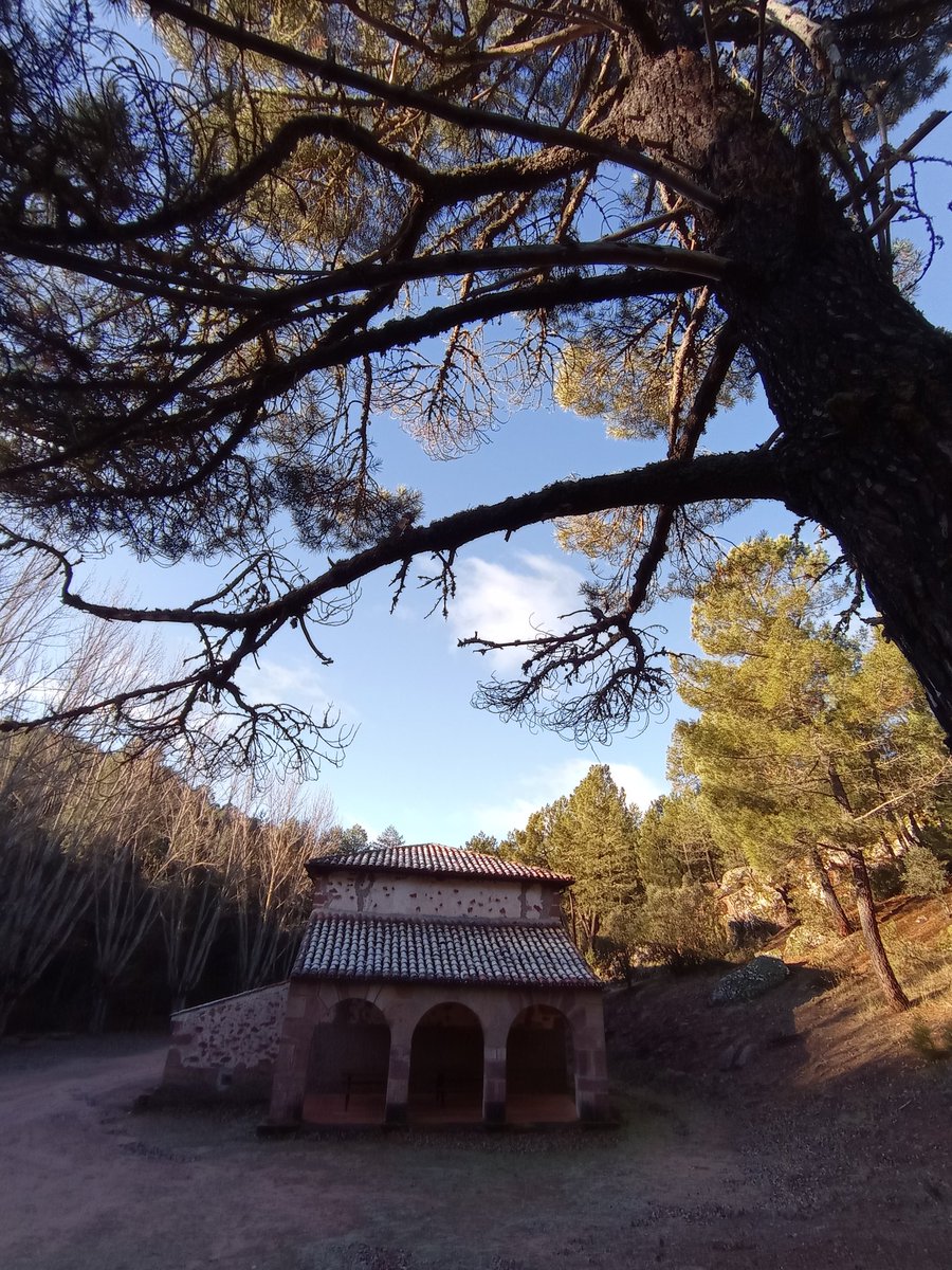 Elasessales's tweet photo. Valle del Ablanquejo.
Ermita del buen labrado.
Hitos del Rodenal.
#Ablanque
@asoturguada
@CANALGUNOTICIAS https://t.co/EhriZONZEy