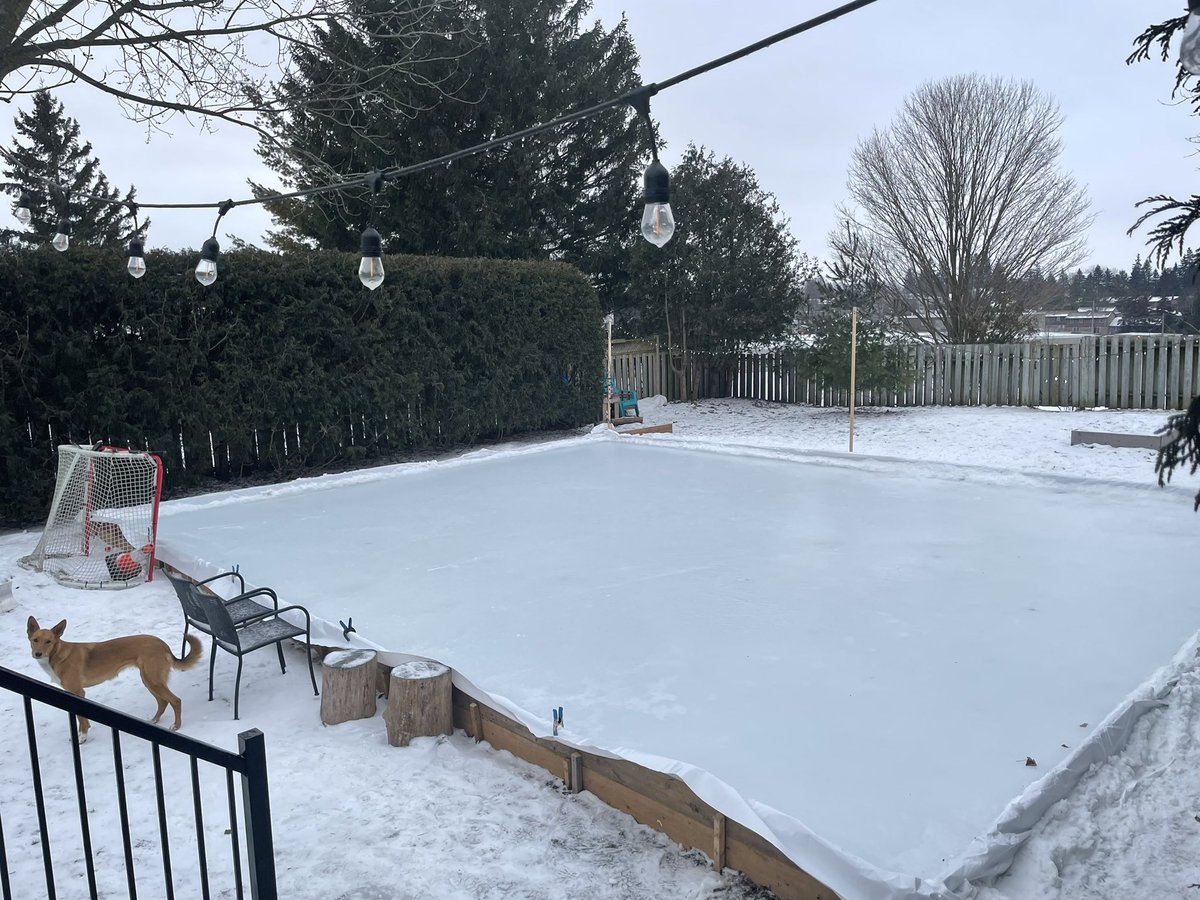 Grateful for 1) #Guelph Twitter friends - I’m getting my booster today! 2) colder temps mean our outdoor rink is back!