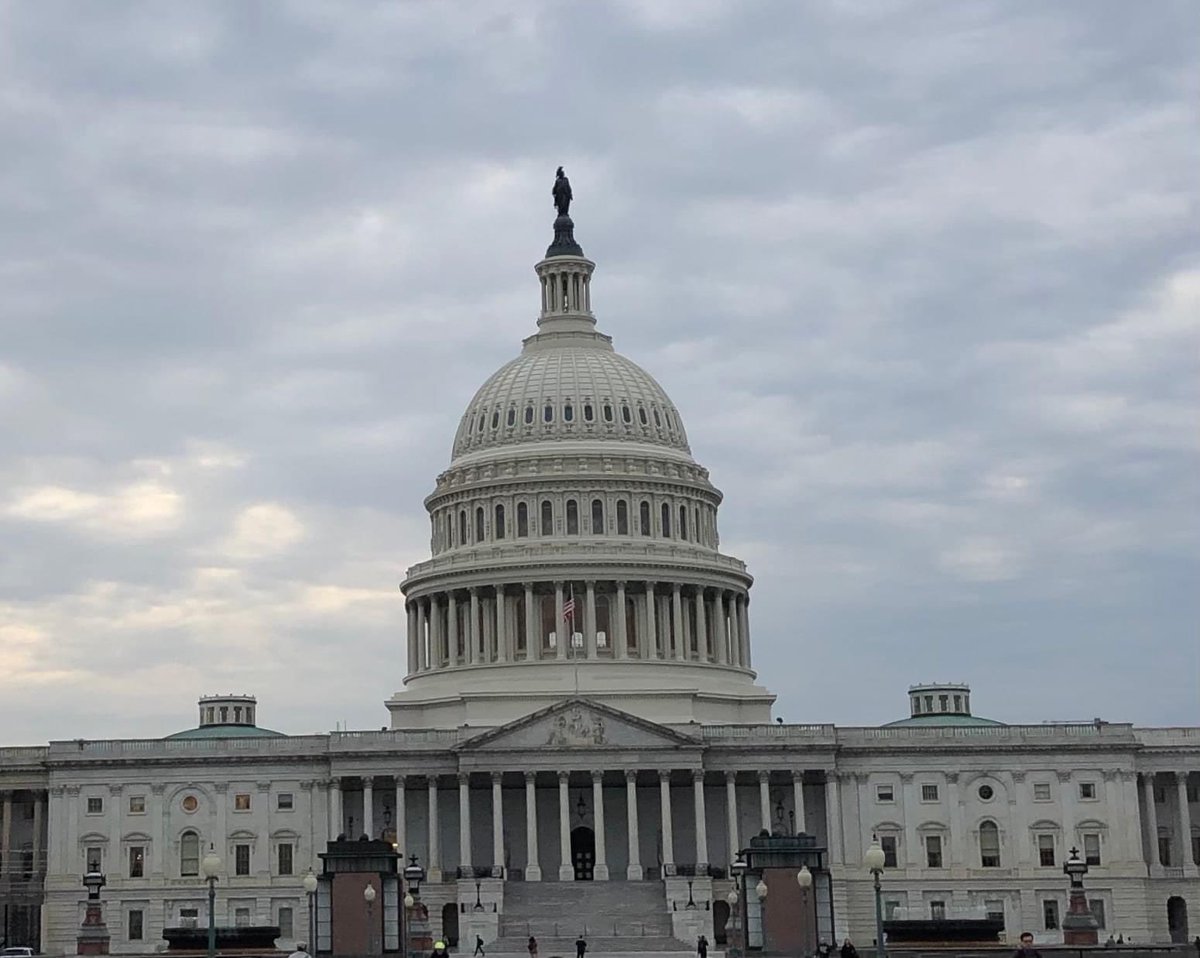 Nancy Rotering for Mayor tweet media