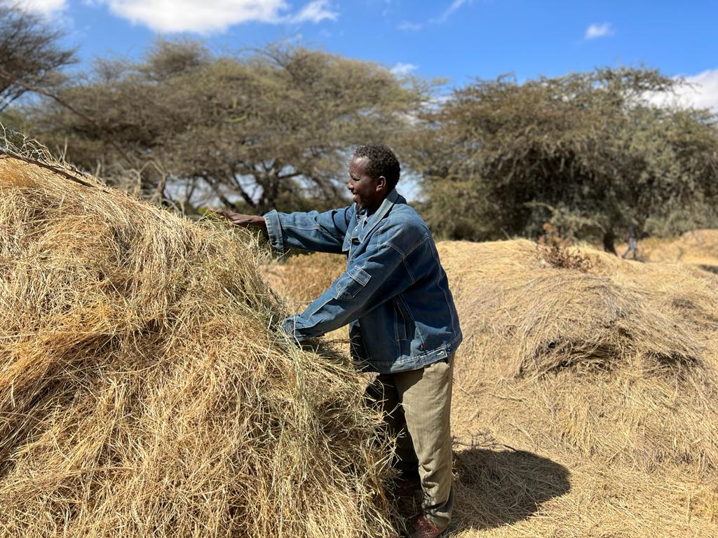 FAO in Somalia tweet media