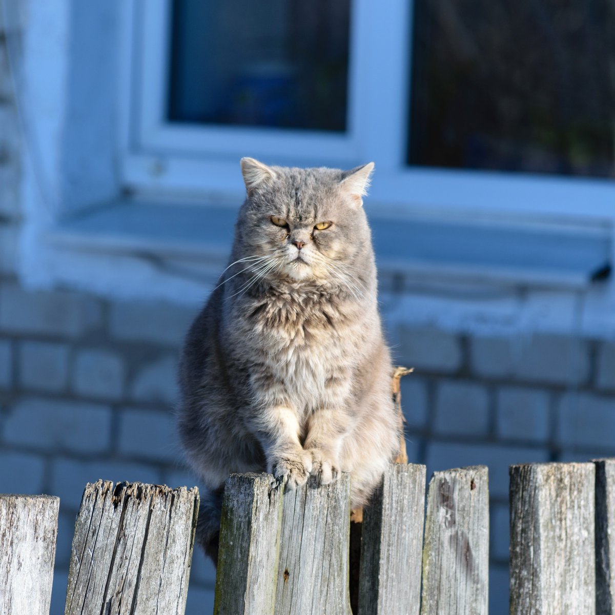 Got the #JanuaryBlues? As a <a href="/BroadlandHsg/">Broadland Housing</a> tenant, you can find support for debt worries, get help with issues around alcohol or find a 4-week health &amp; wellbeing programme. All FREE! Visit crowd.in/pE2xdh <a href="/Health_Assured/">HA | Wisdom Wellbeing</a>