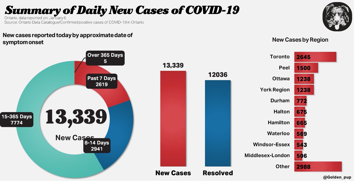golden pup tweet media