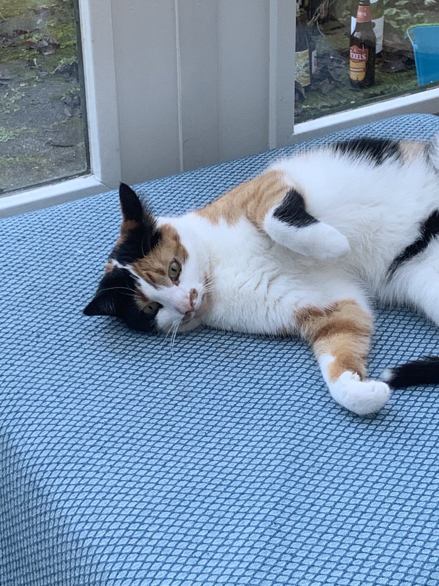 Zusje doet me na!!! 😾