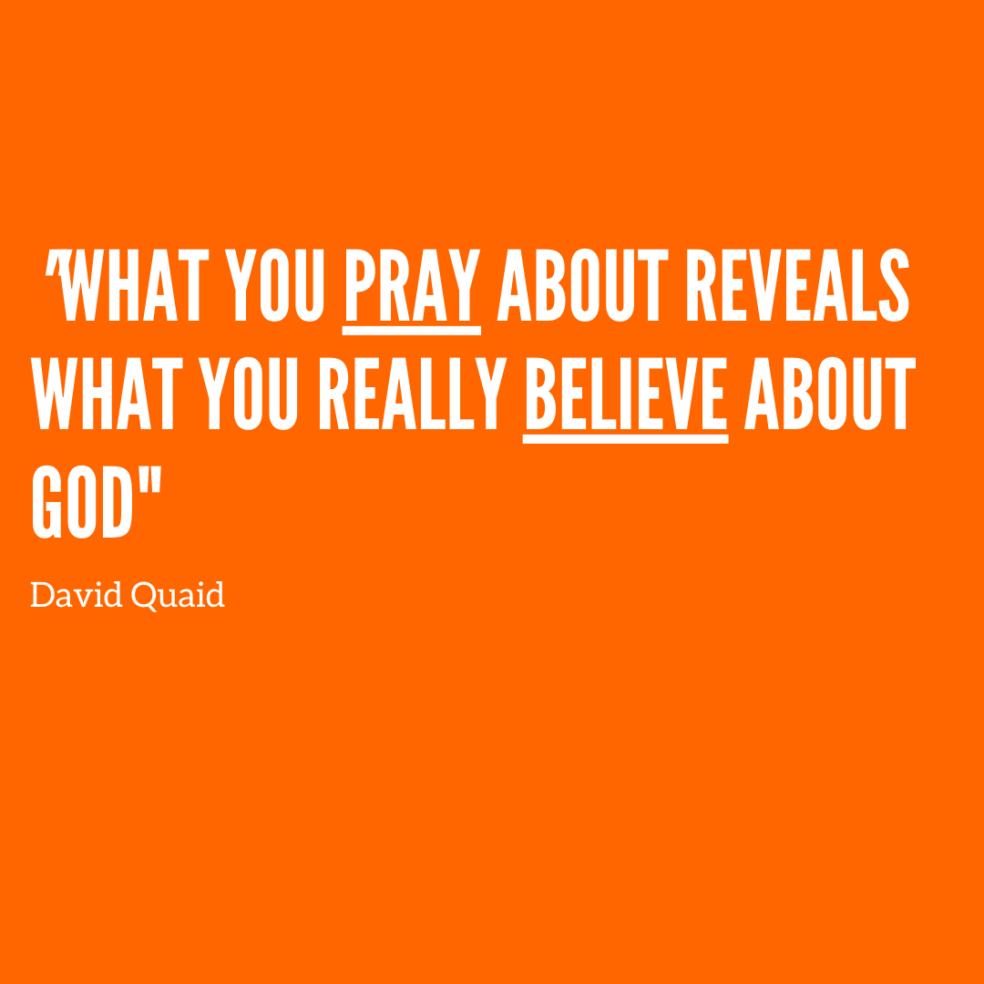 Vineyard N. Phoenix tweet media