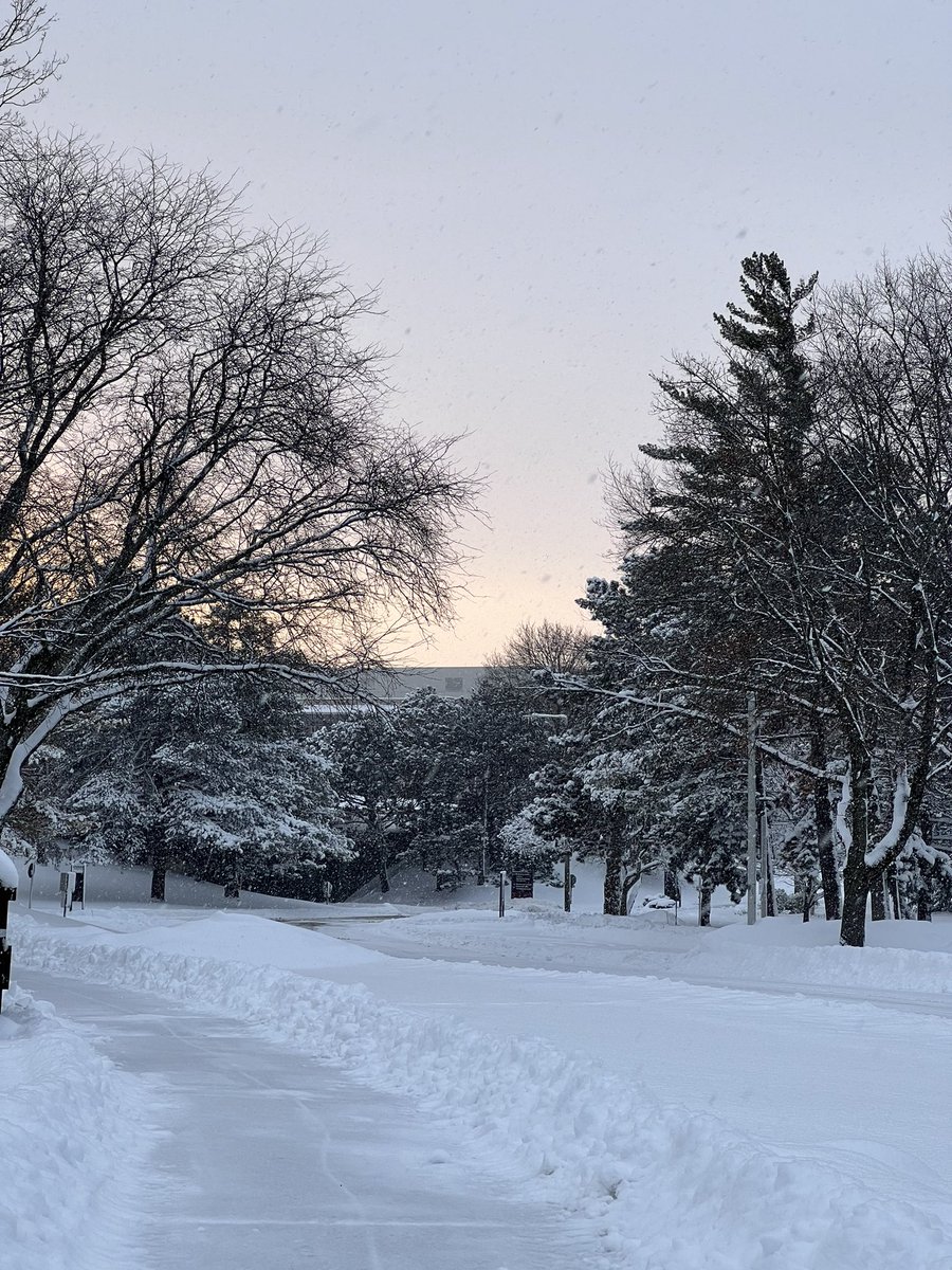 ariannakaee's tweet photo. snowy sunrises are absolutely the best part of winter https://t.co/CkQSJ6JndO