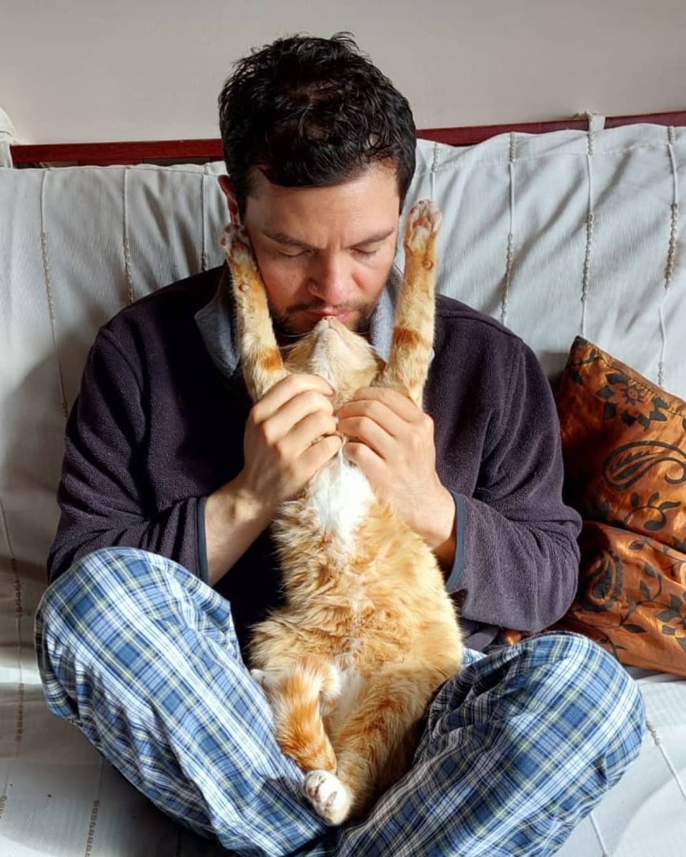 No hay como el ronrroneo de un gato que amas para recargar la energía 🐱❤