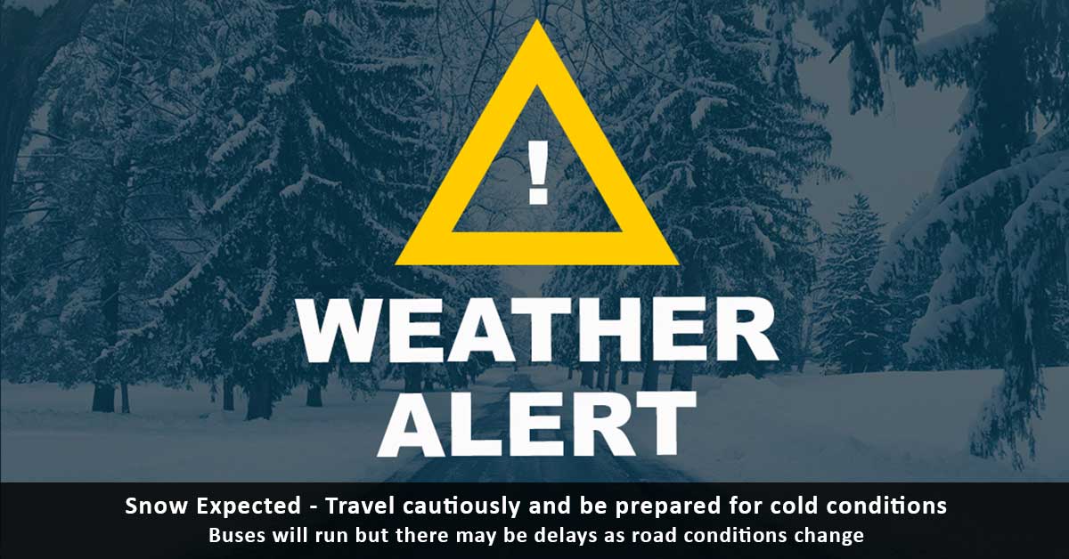 Mountain Line tweet media