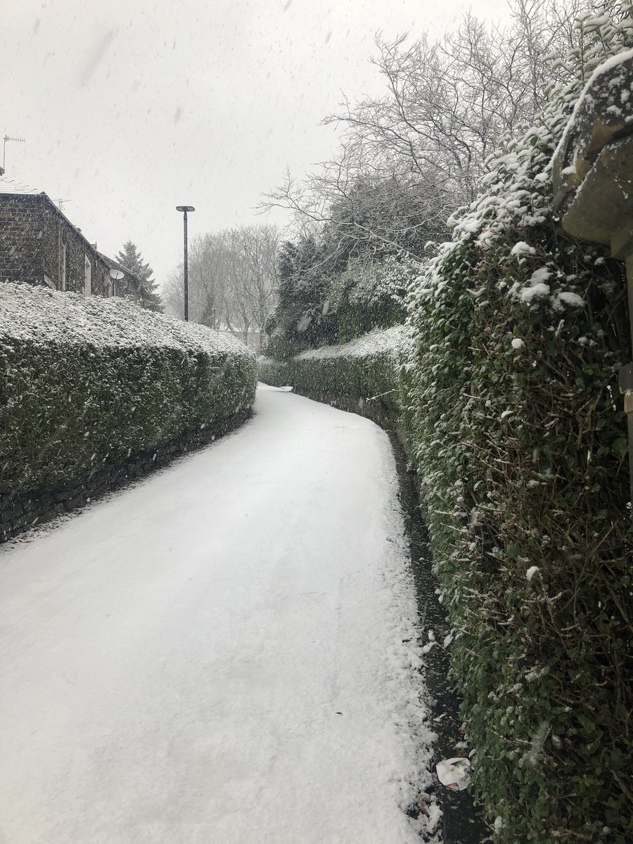 lugenhimer83's tweet photo. @Livindeadgirl00 Went for a walk during lunch, came back to an ice rink up to the house. Like Bambi I was…… https://t.co/7TbP2dNvd9