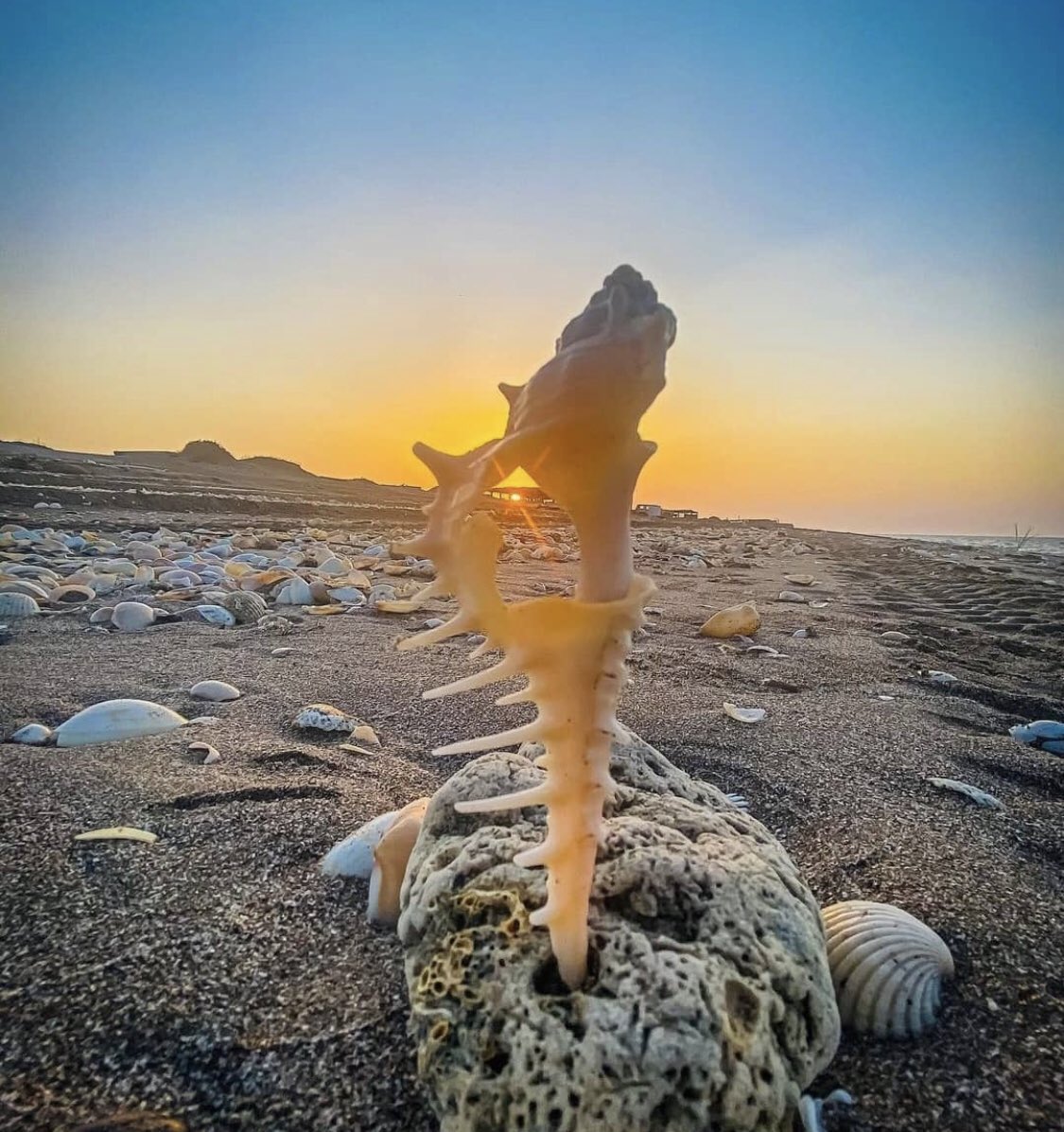 "يُخذل الإنسان مرة، ويبقى حذرًا للأبد."

#الخميس_الونيس