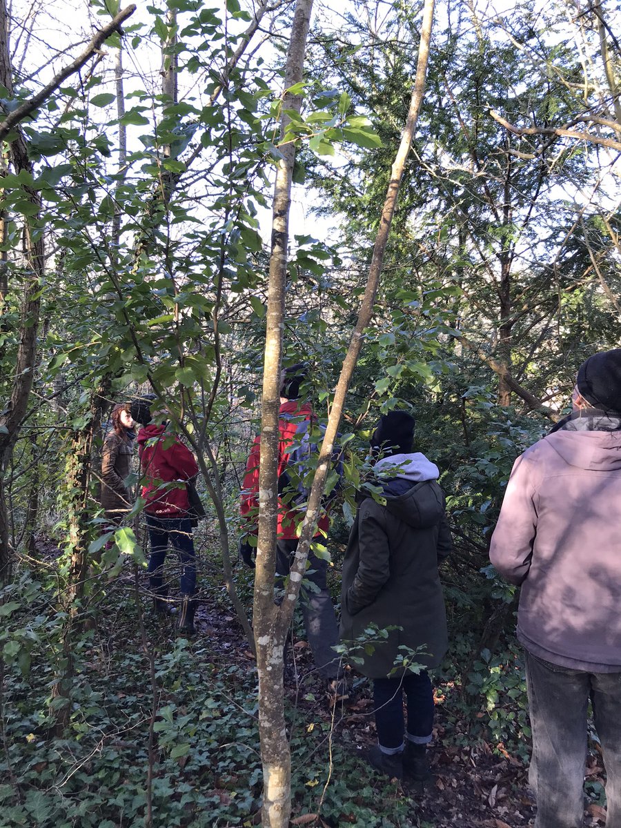 PropPlace's tweet image. Beautiful start to the year with our volunteers this week! 😄 @swcityfarm