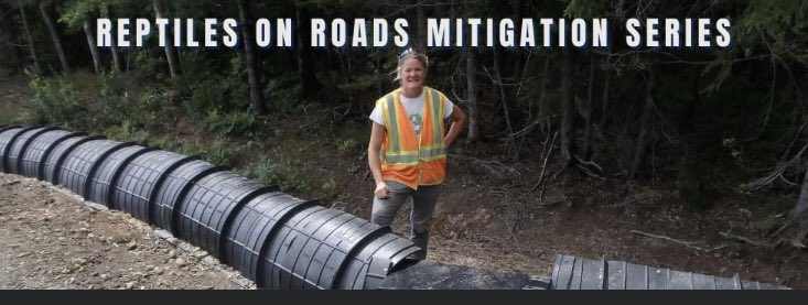 Are you interested in how to design mitigation projects to reduce harm to turtles on roads? Join us for our technical series with Kari Gunson of EcoKare Int. January 14th, from 1-3pm. To register follow this link: us02web.zoom.us/webinar/regist…