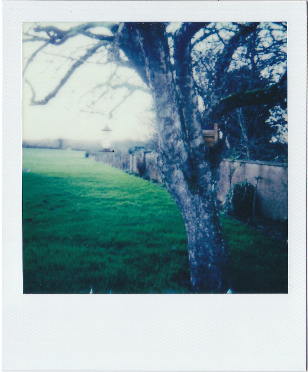 screamwhenucan's tweet image. polaroids of my home