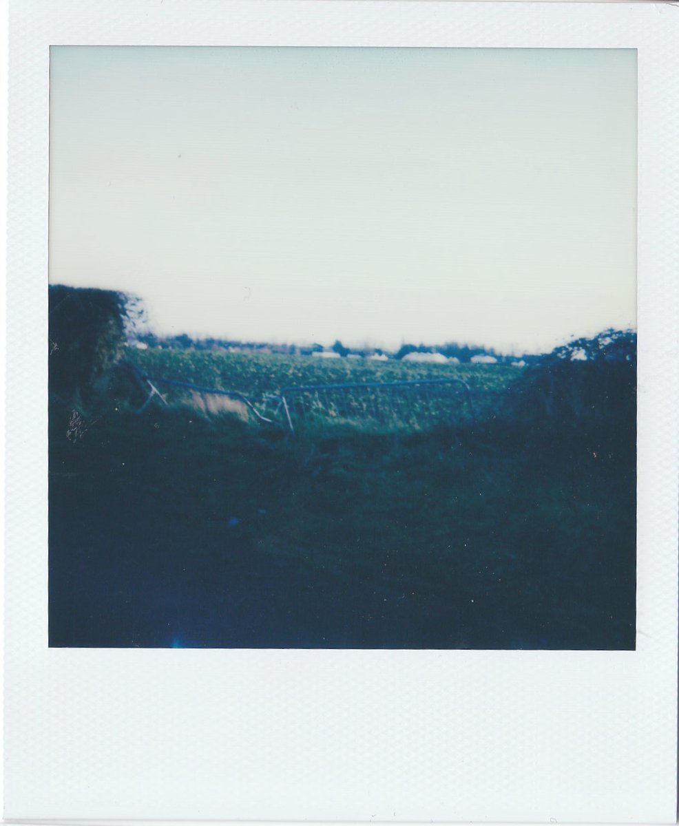 screamwhenucan's tweet image. polaroids of my home