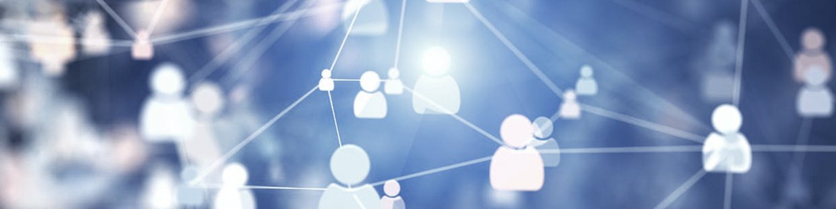 1PD Consulting tweet media