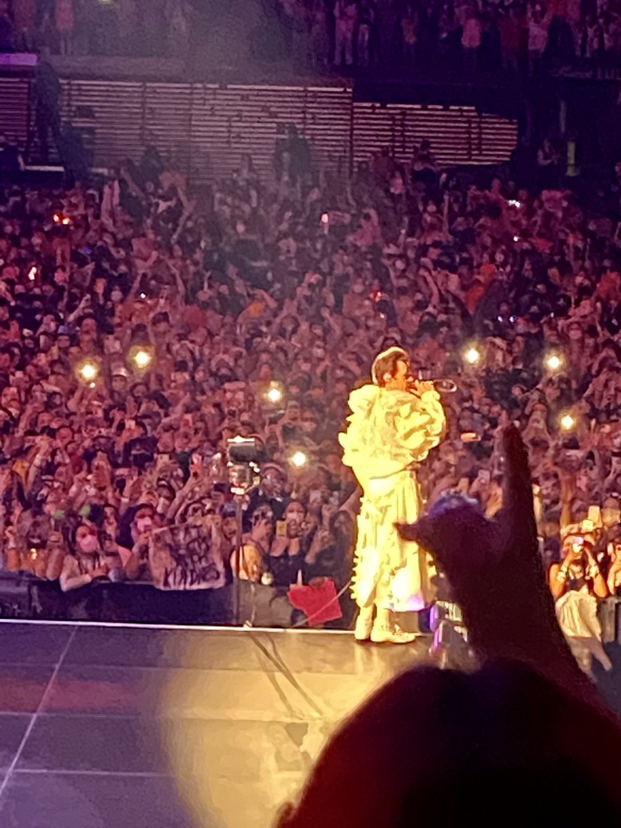 LisaADonoghue3's tweet photo. He looked so gorgeous this night . #mypicture
#HarryStyles #Harryweennight2 #NYCMSG https://t.co/Cq0OZZSJAy