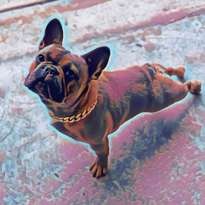 flamegangstar's tweet photo. #NewProfilePic https://t.co/NagcNhZB95