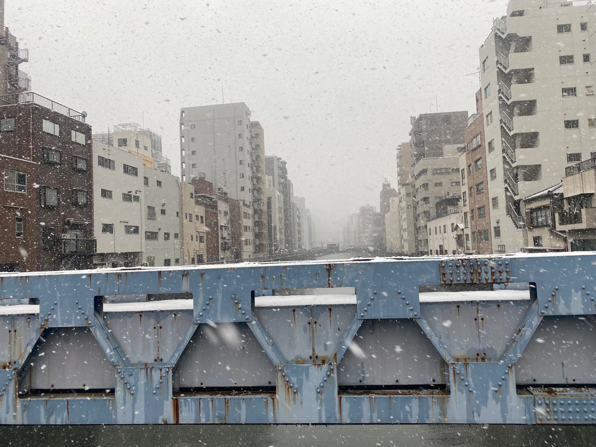 KyJu3d's tweet photo. Rare snowy day in Tokyo. Found perfect cozy bar marched the nights vibe. https://t.co/5dXcLZsRaG