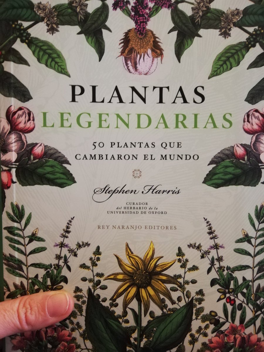 Debo de haberme portado bien este año 🤩 Feliz día de Reyes!