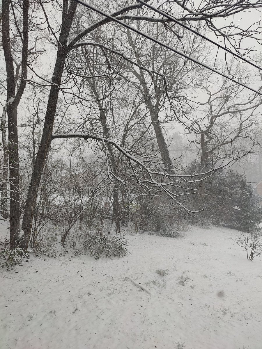 kellymvee's tweet photo. @NashSevereWx Around 8:40am. Have the fireplace going, think I'll bake some bread before someone spins out and hits a power pole. https://t.co/57sUEtniUx