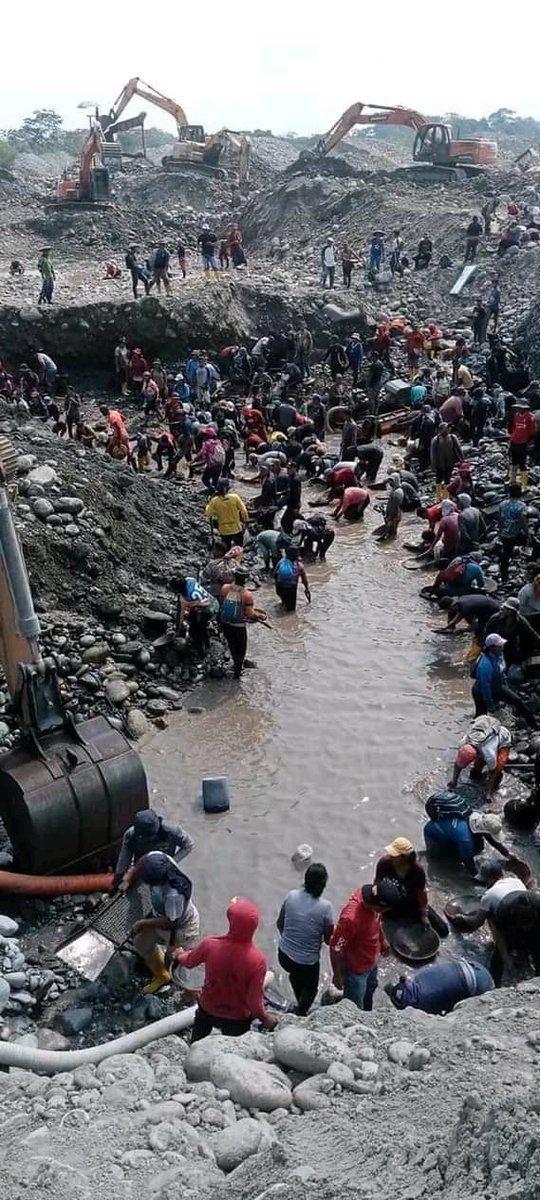 Los ríos de la provincia de Napo  DEVASTADOS por la minería de oro aluvial. Las autoridades son cómplices del festín y se niegan a actuar en favor del pueblo y la naturaleza 💚 Napo libre de minería y corrupción política 💚