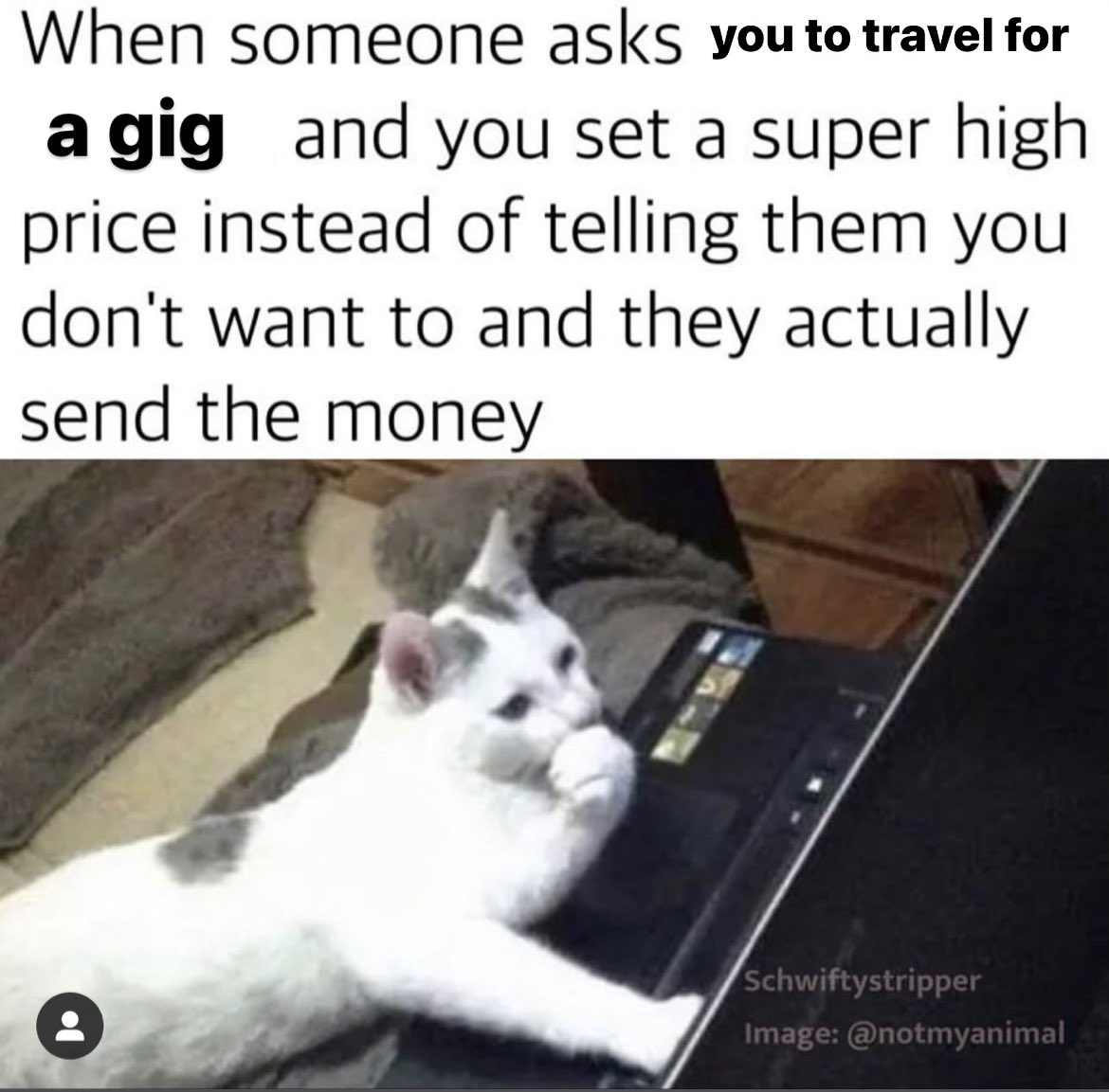 My wife made a meme of me at a computer…