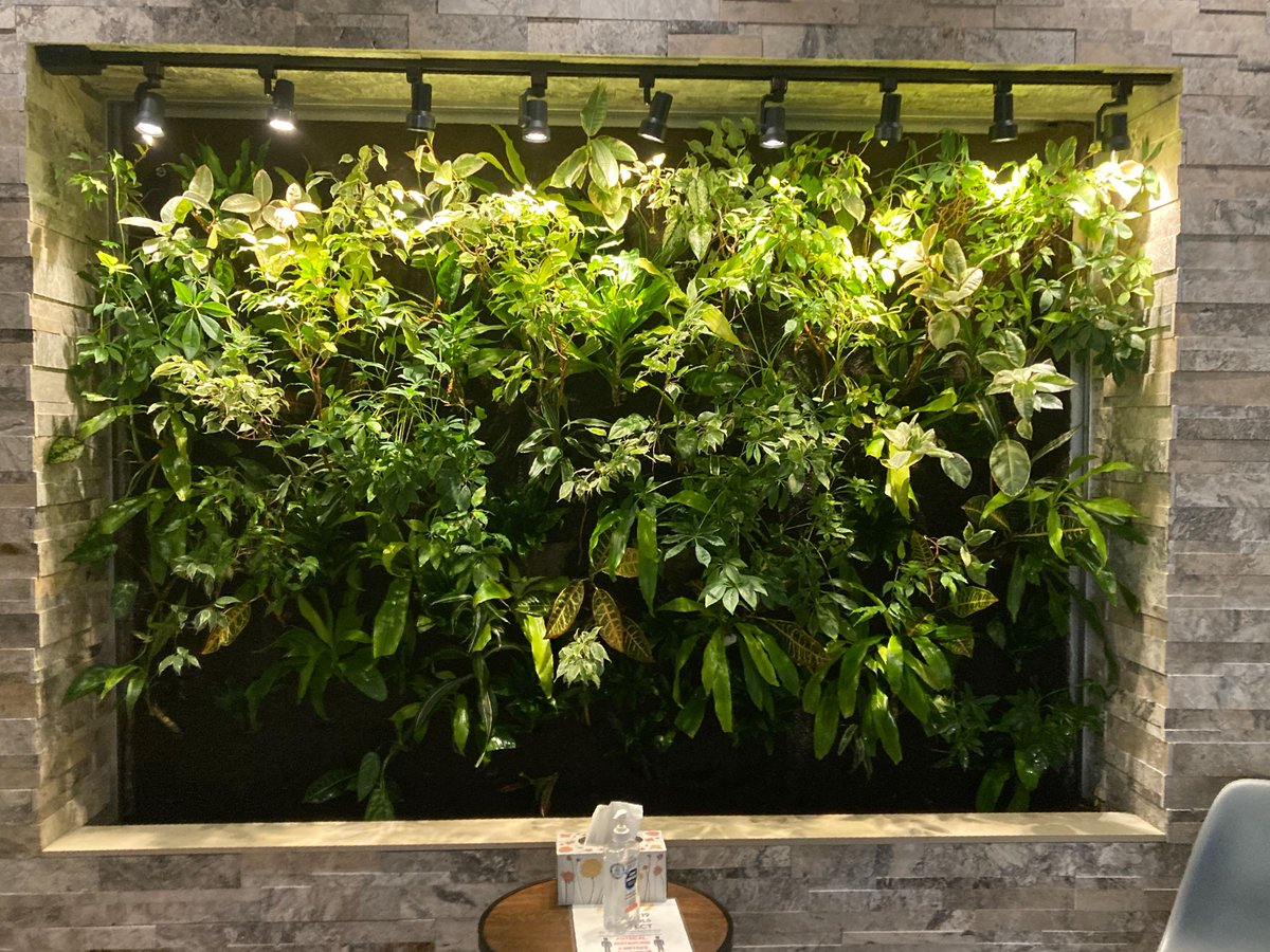 GroupNedlaw's tweet image. Our Living Wall #Biofilters can be designed for virtually any space. We work with you on the design and configuration. Large or small, the basic construction is consistent and inherently flexible.
A #NedlawLivingWalls Project: Dr. Maheux Connections Dental Group 
Emeryville, ON