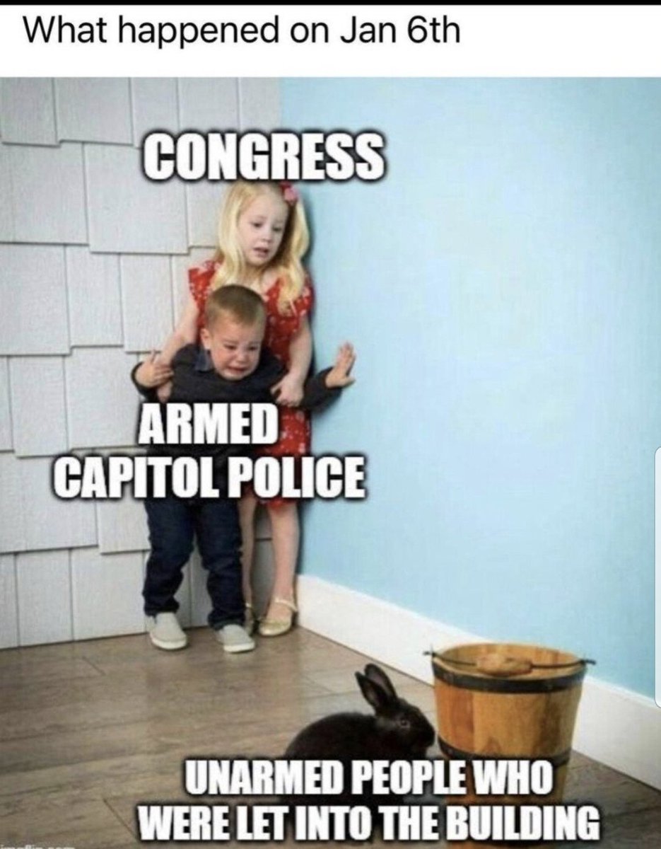 TheExpertKnows's tweet image. #notaninsurrection