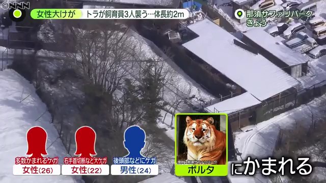 ニュース なぜそこに トラに襲われ飼育員3人ケガ Nnn 22 01 06 栃木県の那須サファリパークで5日 飼育員3人がトラに襲われケガをしました 襲ったのは 体長およそ2メートル 体重およそ150キロのベンガルトラ 1997年と2000年にも ニュース なぜそこに トラに襲われ飼育員3人ケガ Nnn 22 01 06 栃木県の那須サファリパークで5日 飼育員3人がトラに襲われケガをしました 襲ったのは 体長およそ2メートル 体重およそ150キロのベンガルトラ 1997年と2000年にも