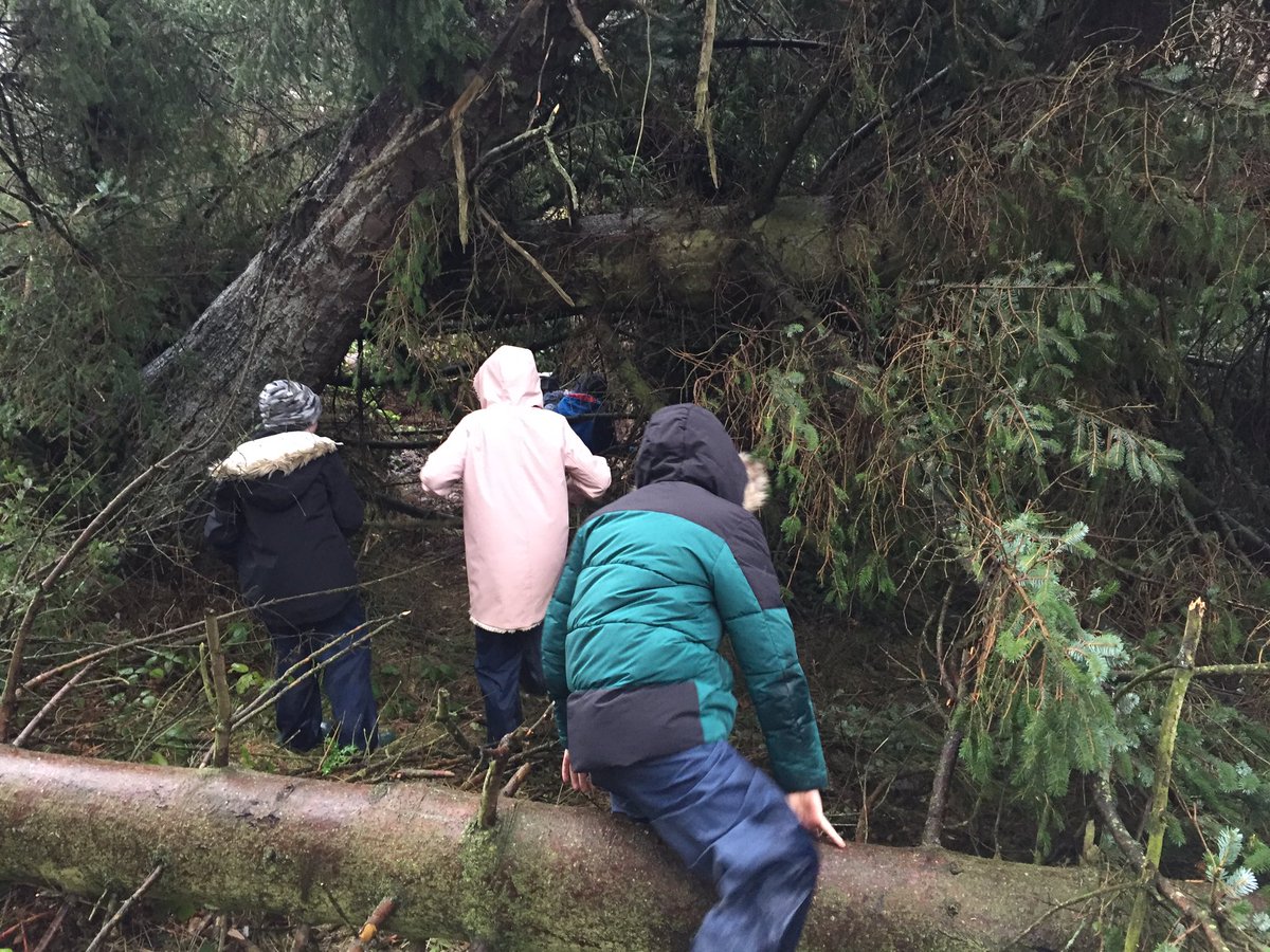 RnR_Nature's tweet photo. Entering ‘the mine’ ... first day bk with @WaroutPS. The pupils wanted to return to the upturned trees previously discovered where they could ‘mine’ for raptor bones &amp; other treasure. A lovely, imaginative #play session - the opposite of being cooped up on devices in the hols... https://t.co/QGUCTScAFr