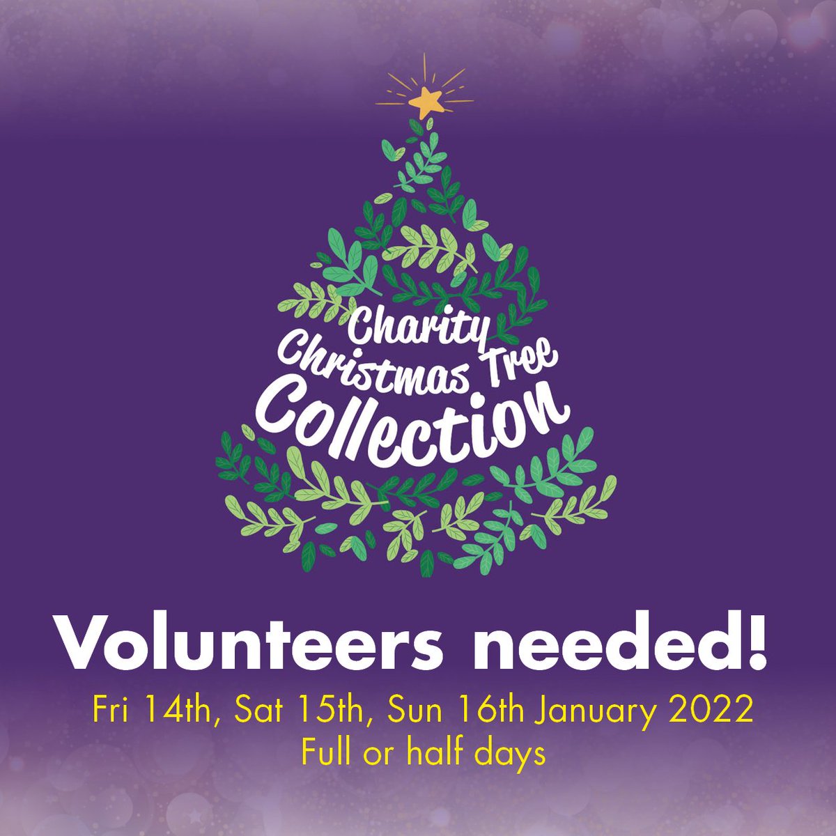 2022 Christmas Charity Set Forgetmenotchildren (@Forgetmnotchild) / Twitter