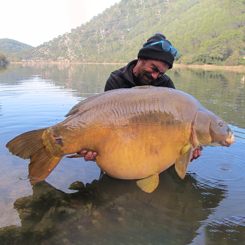 soniksports's tweet photo. Big fish angler Sebastien Lauricella has just joined Team Sonik France and brings with him a wealth of experience on the big carp circuit. Welcome abaord Sebastien from all the team at Sonik.
#Bigwatercarping #Subsonik #Sonik #Carpfishingadventure #Bigcarp #Tournos #Meggachunk https://t.co/pWReKRzYfY