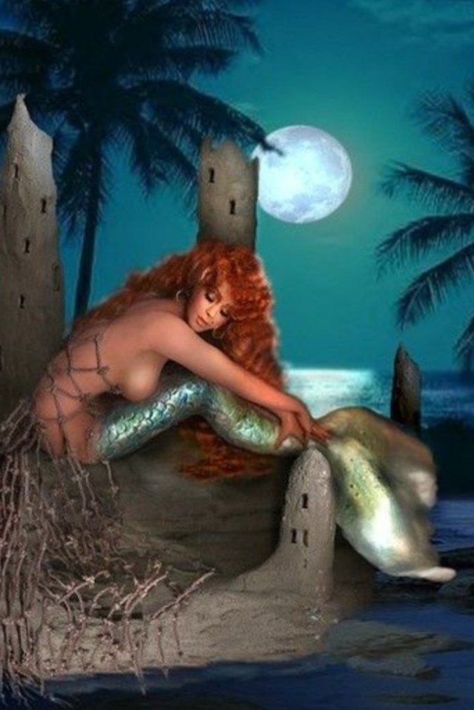 Piscis tweet media