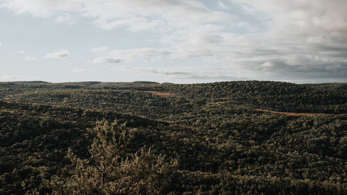 Gov_NB's tweet photo. New Brunswickers will have an opportunity to provide their ideas for the new Climate Change Action Plan through a 28-day online public consultation period running from Jan. 24 to Feb. 24, 2022. 

https://t.co/7eubdMWlHR https://t.co/p3ntVL4FJI