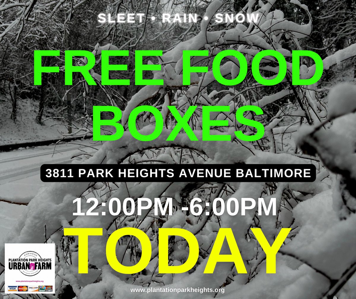 EVERY THURSDAY • FREE FRESH FOOD BOXES •  COME GRAB YOUR BOX!! 🍒 If you know of any Park Heights children or families in need of fresh food, please come see us and we will fix that immediately! 🙏🏿 plantationparkheights.org #AgriHoodBaltimore #Foodsecurity #urbanagriculture 👈🏿