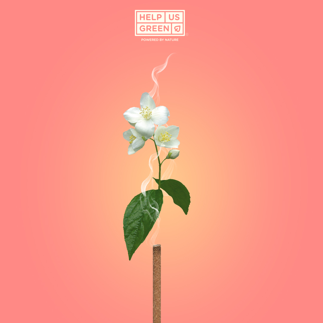 HelpUsGreen's tweet photo. Fragrance so good it'd make walking into your room like walking into a garden.
Enjoy the warm and sweet fragrance of Jasmine essential oil in HelpUsGreen' Mogra Dhoop Sticks, and give a rejuvenating lift to your mood! 

#helpusgreen #dhoopsticks #aromatherapy https://t.co/AunSyLPLxU