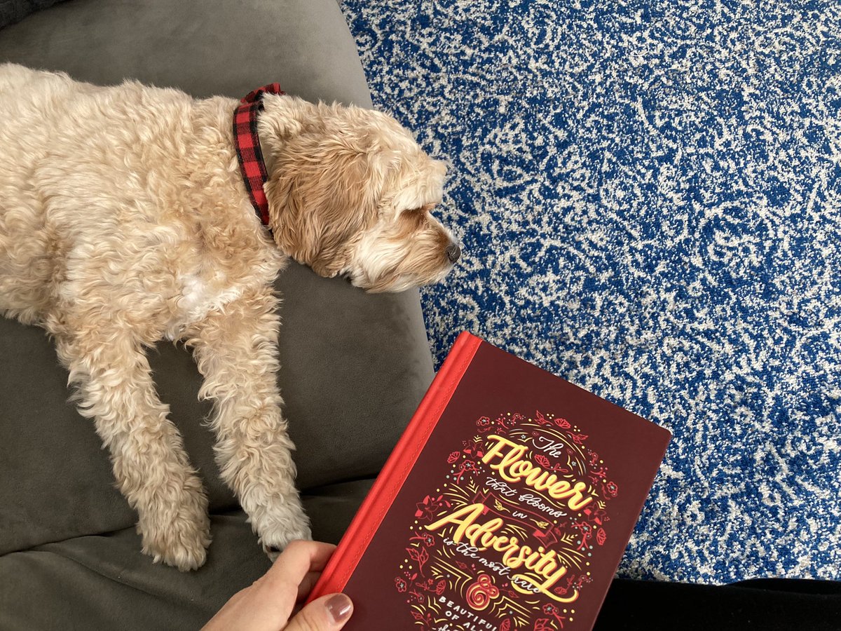 Someone loves couch journaling time almost as much as I do