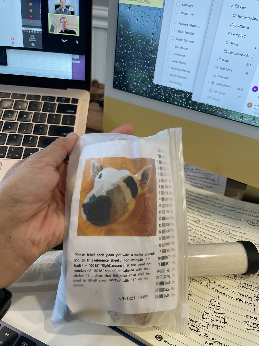RouhiRoo's tweet photo. To whatever wonderful demon sent me a paint-by-number of #norathebully, THANK YOU. You have sent sun and light into our cold January! #Grateful #hashbrownBlessed https://t.co/rwjbI1QilC