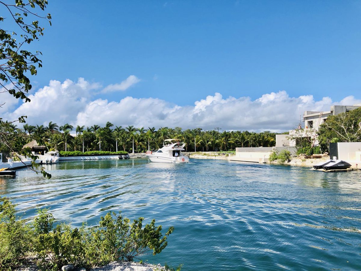 RemaxCRealty's tweet photo. Located on prestigious guard-gated Phase 4 #PuertoAventuras offers amazing #waterfront #lotsforsale.
Size: 8,055 sq. ft.
$620,000 USD

https://t.co/fi5QqsWEMA

#realestate #weareremax #rivieramaya #tropiclife #makeanoffer https://t.co/nL0YwXyw2J