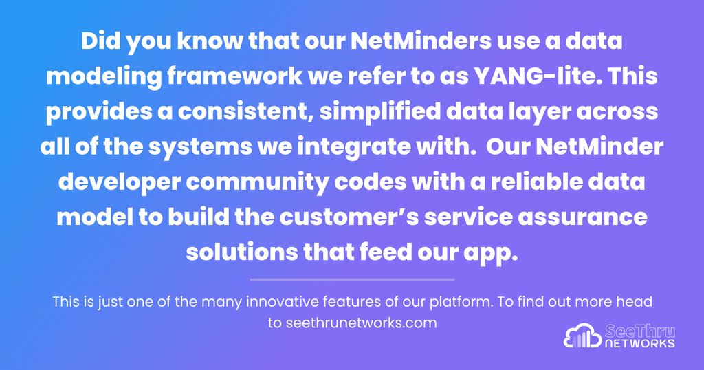 Did you know that our NetMinders use a data modeling framework we refer to as YANG-lite. This provides a consistent, simplified data layer across all of the systems we integrate with. 📲