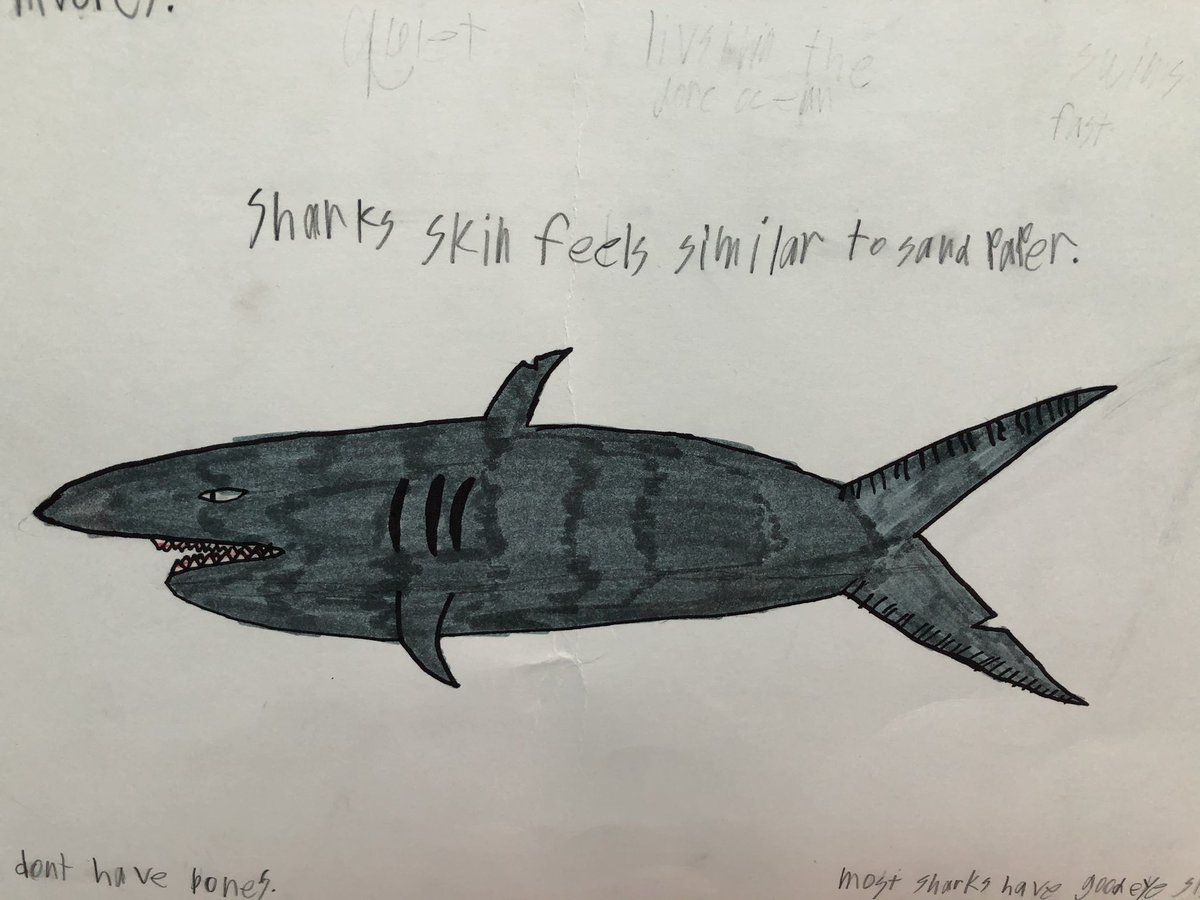 The cool kids at Petroglyph Elementary are studying animals and the habitats they live in!