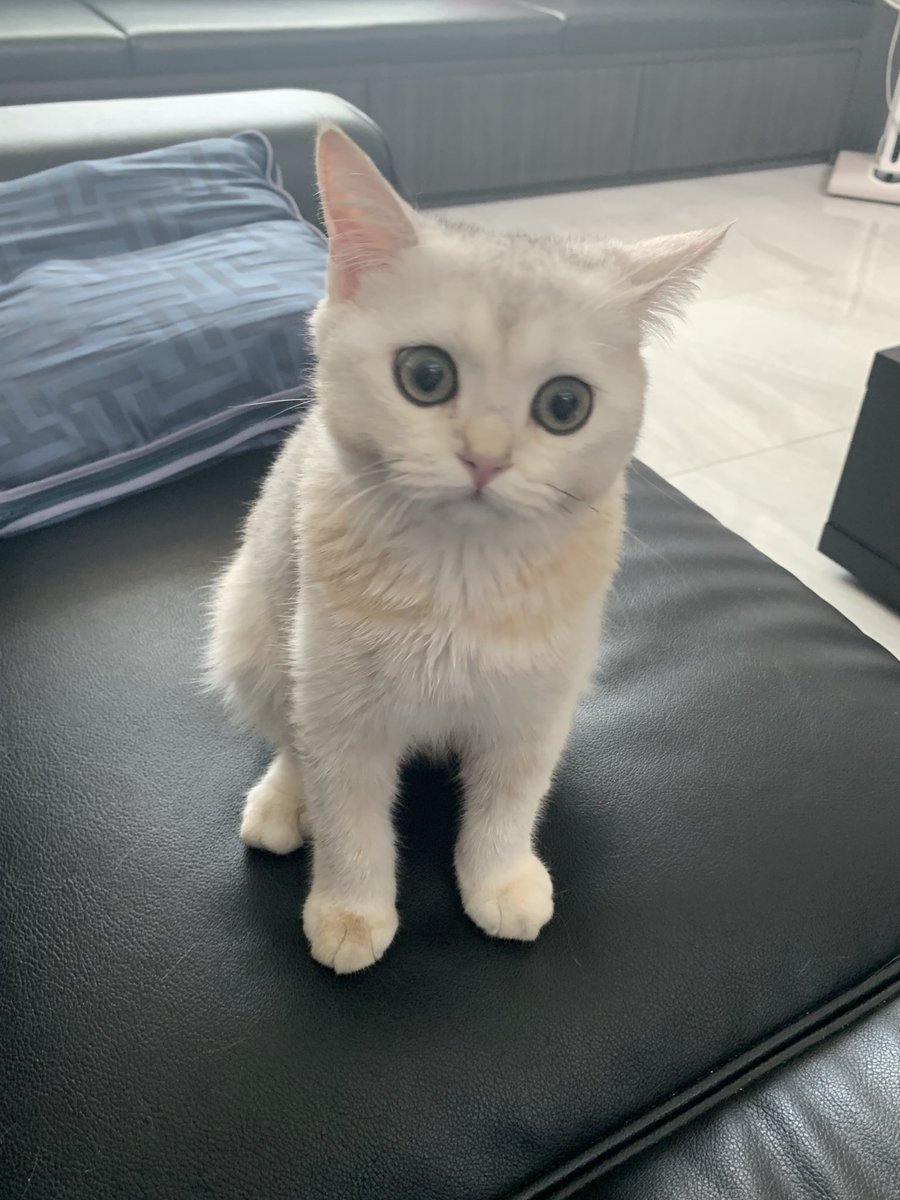 Bonusiie's tweet image. 🤍