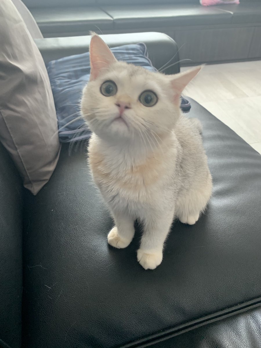 Bonusiie's tweet image. 🤍