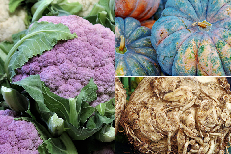 Veg boxes had something of a renaissance during the 2020 lockdown. Did this spark a genuine, sustainable reconnection for consumers, or was it a convenient way to get food delivered?

#ORFC22 <a href="/kindlingtrust/">The Kindling Trust</a> <a href="/Riverford/">Riverford</a> <a href="/ajhommedeterre/">Andy Johnson 🦒</a> @BetterFoodTrade @ben_raskin <a href="/UnicornGrocery/">UnicornGrocery</a>